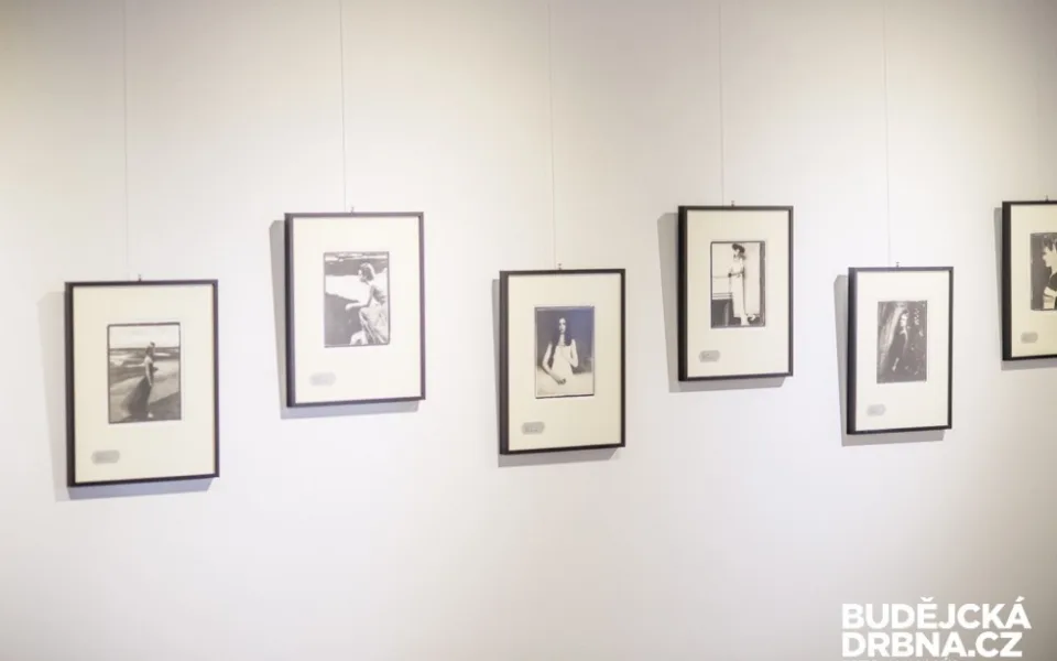 Platinová kolekce fotografií Roberta Vana - ilustrační foto