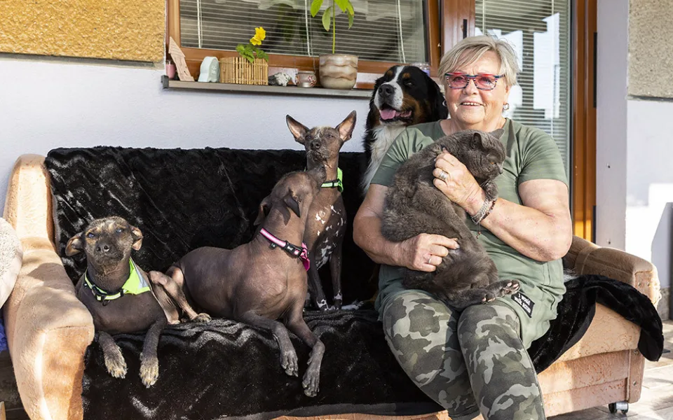 Jana Dohnalová ze Šternberku se věnuje canisterapii a felinoterapii. Za klienty jezdí s fenkami peruánského naháče, bernského salašnického psa a s kocourem Jonášem
