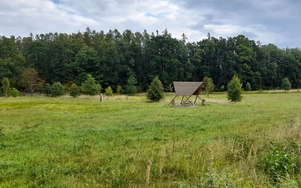 Nové arboretum Osina bude určené lesníkům, studentům i návštěvníkům z řad veřejnosti