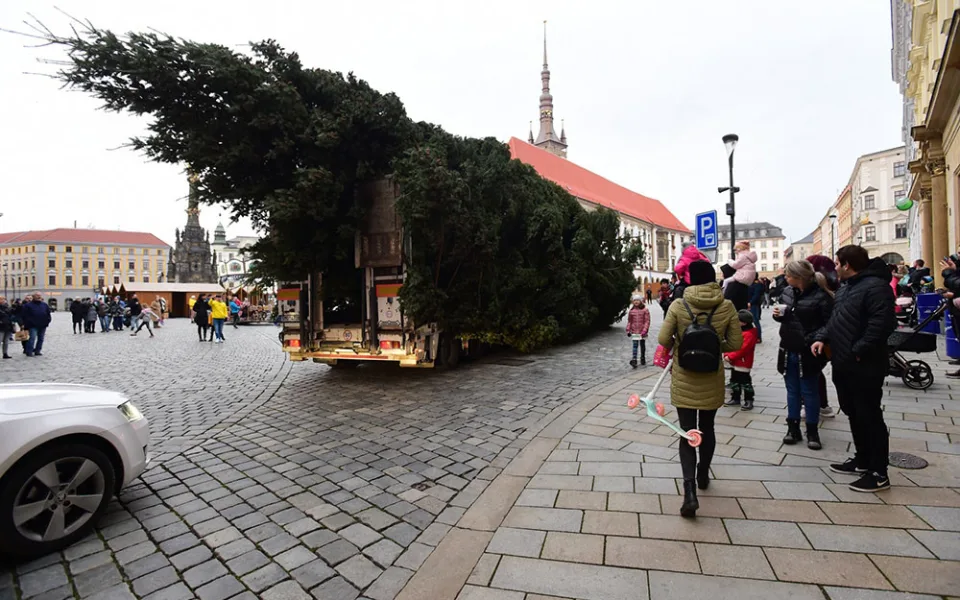 Nadměrný náklad více než dvacet metrů dlouhého stromu přicestoval v neděli na Horní náměstí v Olomouci