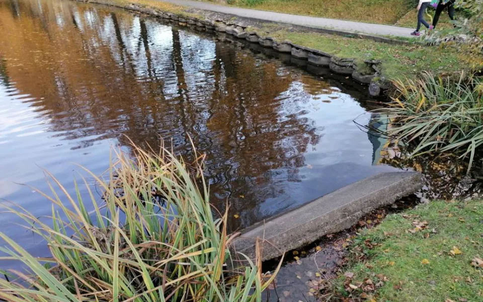 Okrasný rybníček v Dukelské ulici v Jeseníku projde komplexní renovací