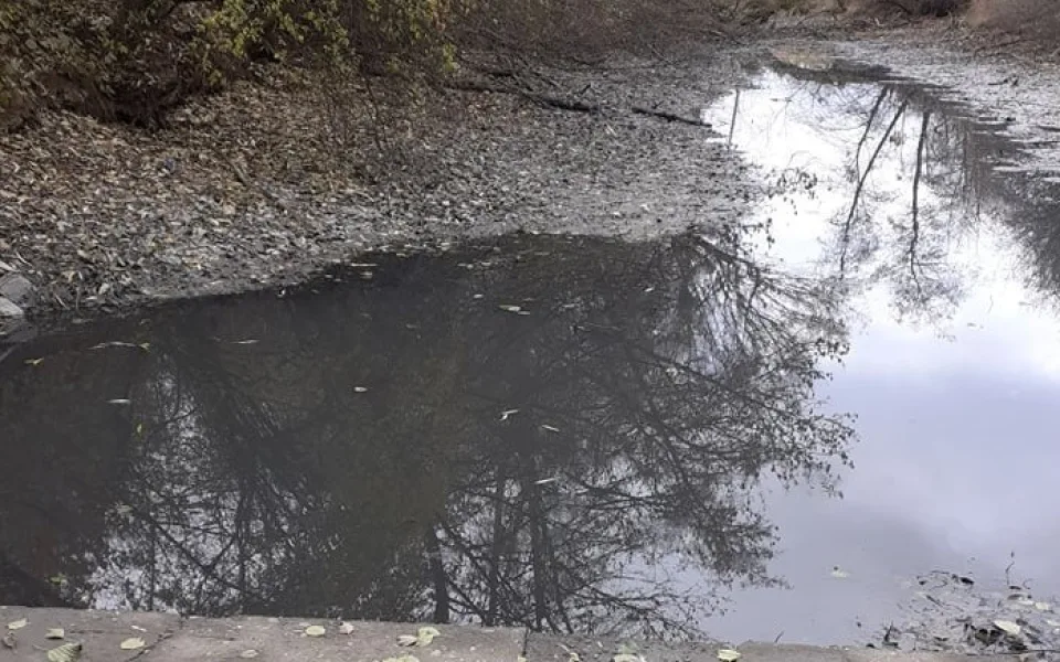 Zloději u Čekyně vypustili rybník a ukradli ryby. Zmizelo generační hejno línů