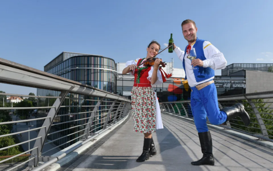 Vinařský festival, cimbálová hudba, svěcení charitativního vína a tradiční husa se zelím. Na Šantovce tento týden začínají svatomartinské hody