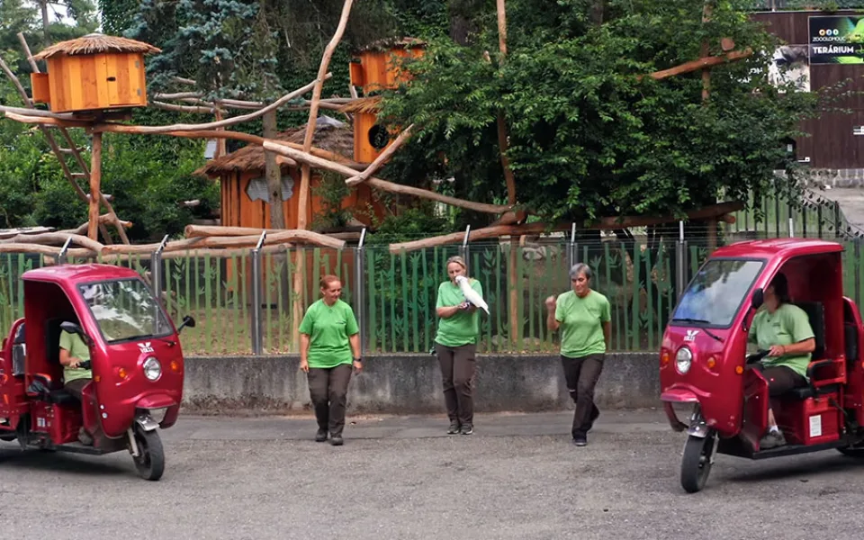 Zaměstnanci Zoo Olomouc natrénovali choreografii na chytlavou píseň Jerusalema