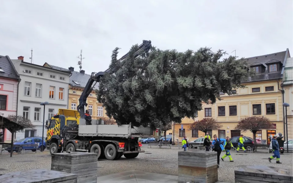 Vánoční strom ve Šternberku je také uctěním zesnulého pana Josefa Cveka, který jehličnan věnoval městu