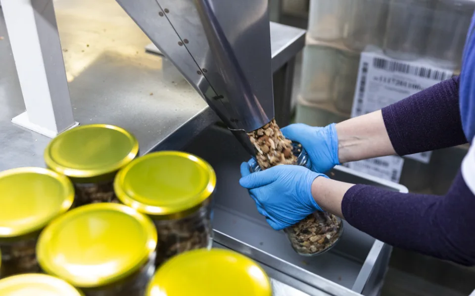 Výroba potravinářských produktů z ořechů v Olomouci
