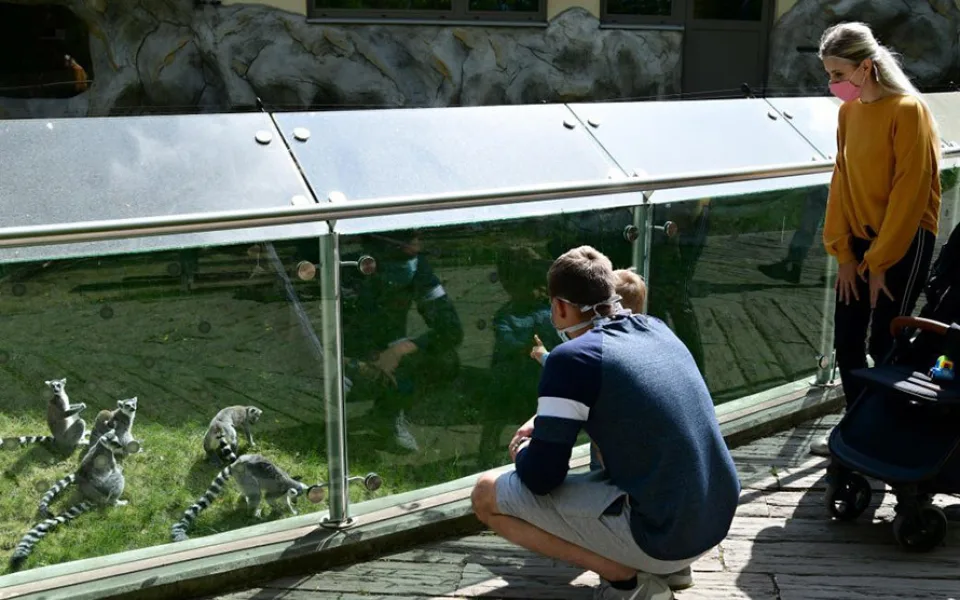 Zoologická zahrada Olomouc se loni otevřela návštěvníkům až v dubnu