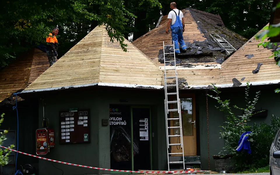 Pavilon netopýrů a nočních živočichů v olomoucké zoo bude mít modernější podobu