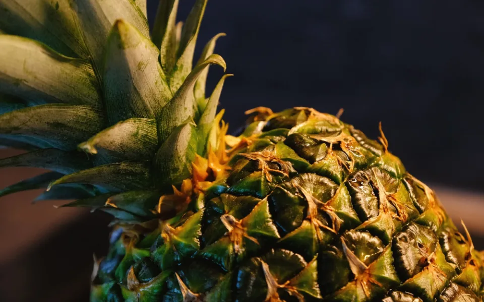 pineapple-5622824_1280