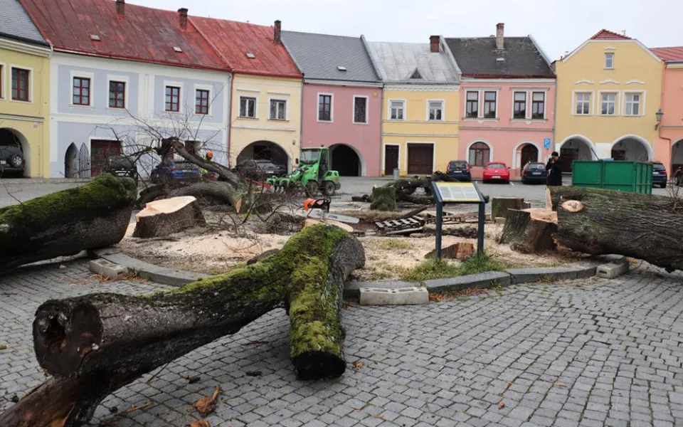 Šest staletých líp na přerovském Horním náměstí pokáceli pracovníci odborné firmy