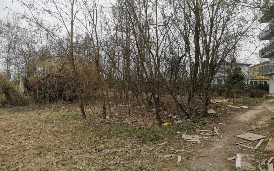 Pás zeleně na Švýcarském nábřeží v Olomouci by měl dostat upravenou podobu