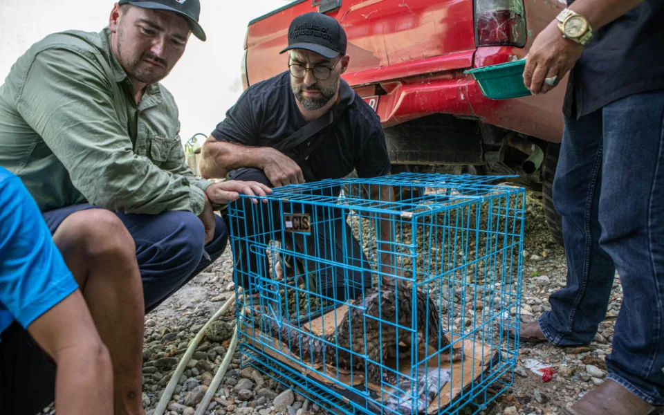 Pašeráka zvířat pomohli dopadnout čeští ochranáři