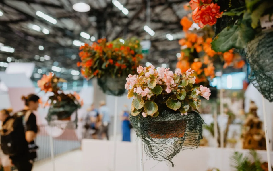 Letní Flora Olomouc - Ilustrační foto