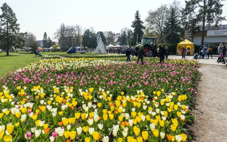 Jarní etapa výstavy Flora Olomouc 2022