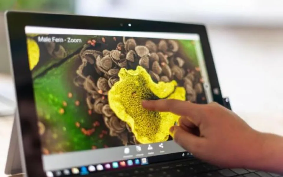 ilustrační foto