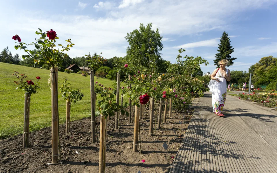 Festival Vyznání růžím v olomouckém rozáriu