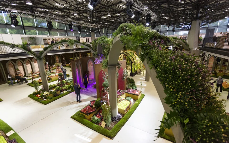 Hlavní expozice podzimní etapy výstavy Flora Olomouc