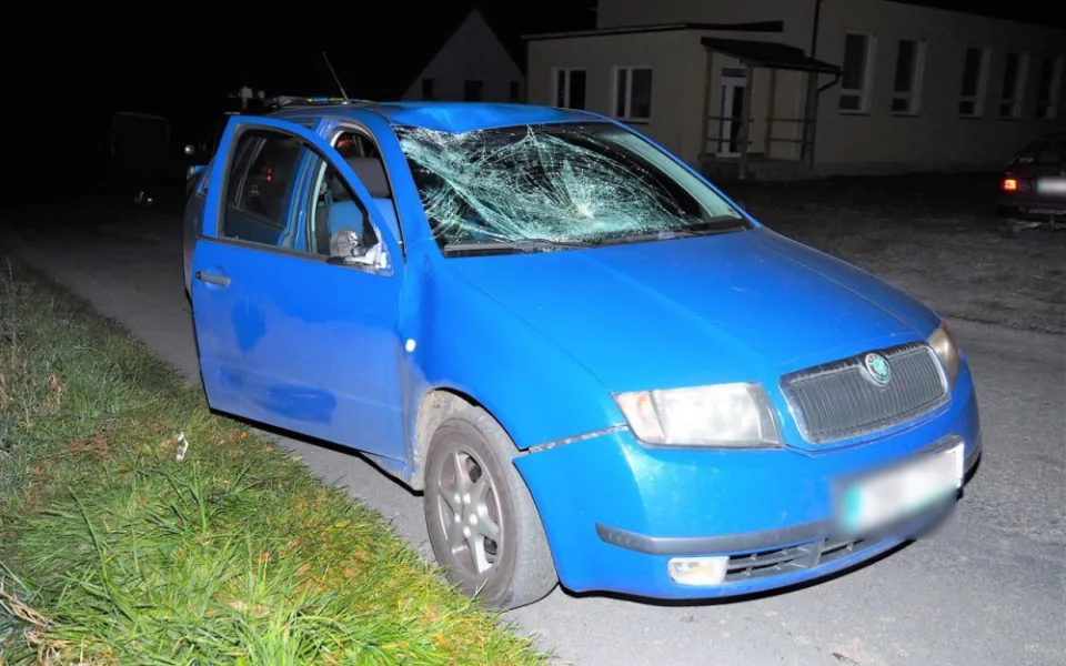 V Křižanově se před půlnocí procházel po silnici kůň. Bez úhony přežil i srážku s autem
