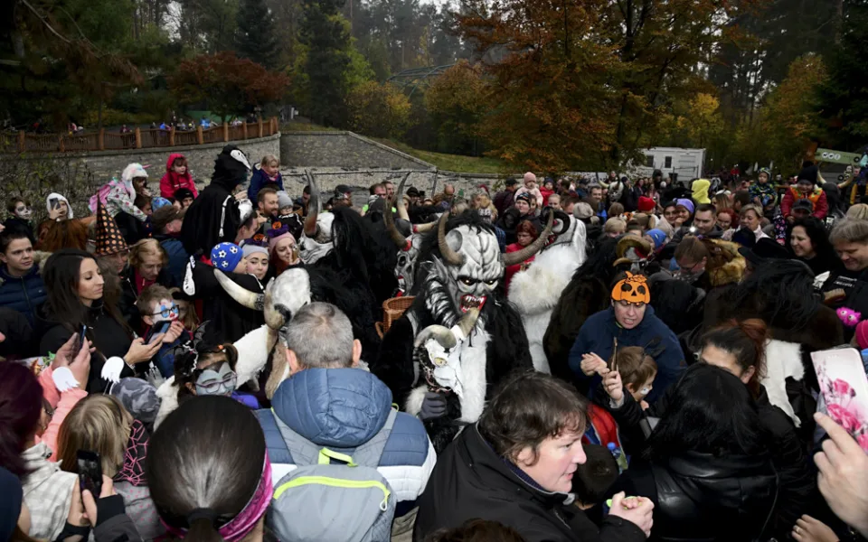 Hrůzné kostýmy, krampusáci i dýně pro zvířata. V Zoo Olomouc pokračuje Strašidelný týden