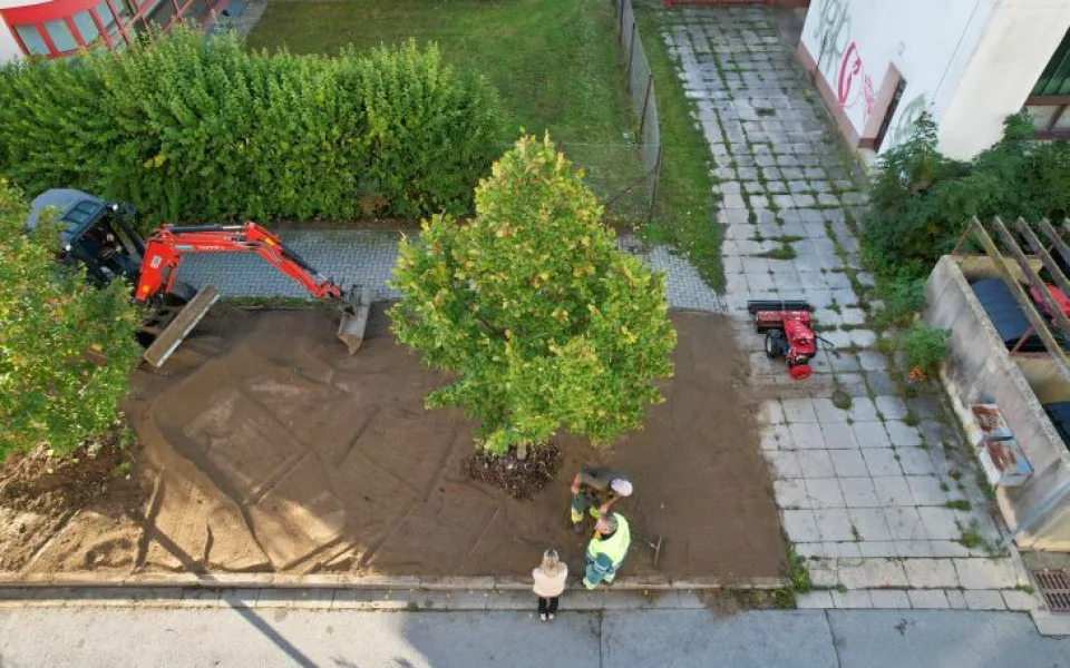 Nové stromy, záhony a trávníky. I takový byl olomoucký podzim