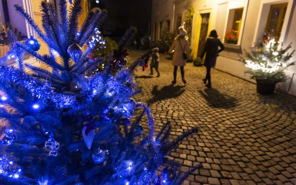 Sváteční ulička v centru Olomouce. Již podruhé ji rozzářily vánoční stromky