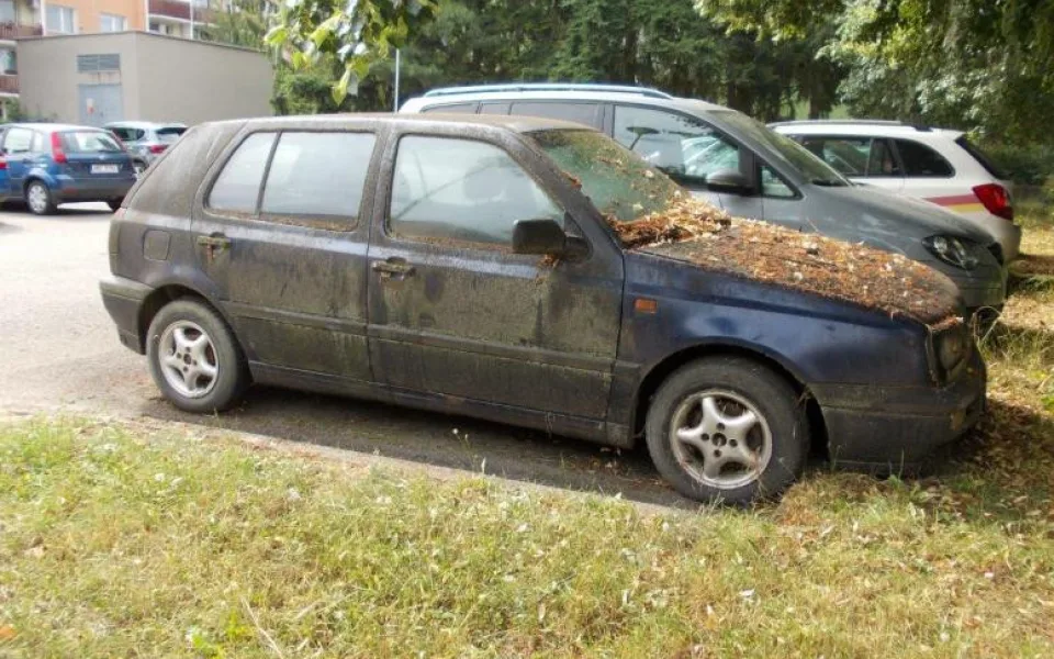 Ilustrační foto