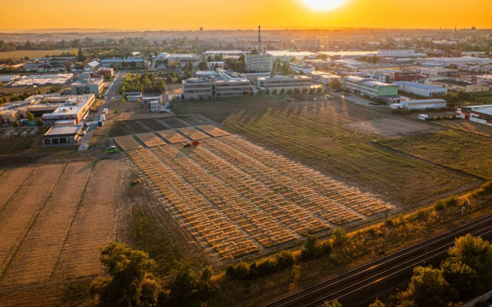 2500_DJI_0887