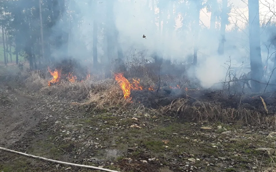 První letošní požár lesa. U Nové Hradečné hořel travní porost a malé jehličnaté stromky