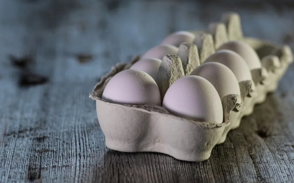 size3-eggs-3183410_960_720