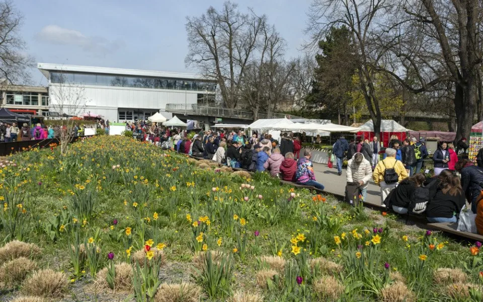 Jarní etapa výstavy Flora Olomouc 2023