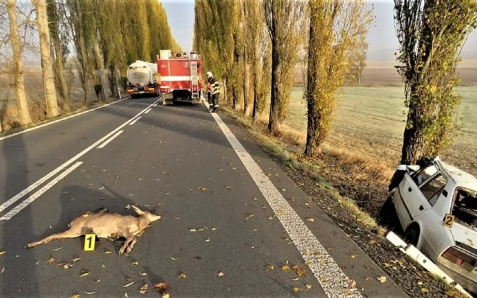 ilustrační foto