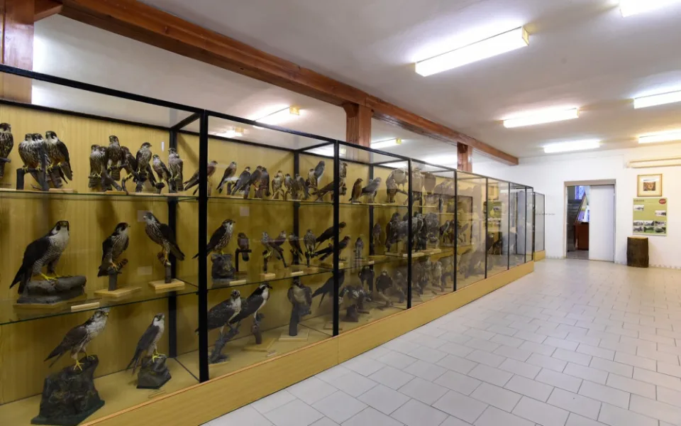 Ornitologická stanice v Přerově má nové zázemí. Expozice Ptáci Česka bude otevřena koncem léta