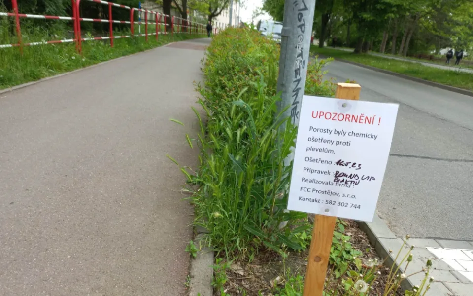 Na rybníku v Drozdovicích uhynula labutí mláďata. Chemické postřiky se zde neprováděly, tvrdí radnice