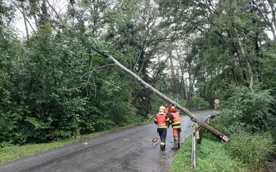 Voda ve sklepích a vyvrácené stromy. Lijáky zaměstnávají hasiče v Olomouckém kraji