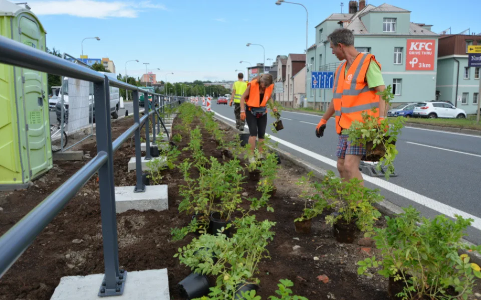 Růžová Velkomoravská. Olomouc investuje miliony do zkrášlení rušného průtahu