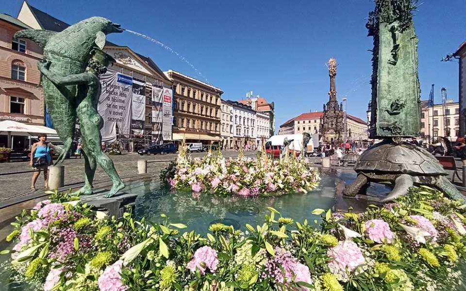 Květinová koruna zdobí Arionovu kašnu v Olomouci. Brzy bude v plné kráse