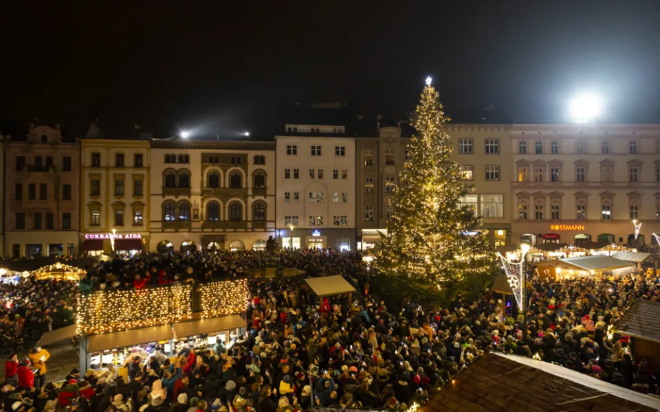 Rozsvícení stromu v Olomouci přilákalo také v roce 2022 davy. Jedle dostala jméno Perníček