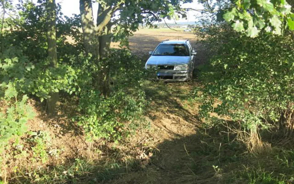 Zdrogovaný šofér prchl od nehody. V kukuřičném poli u Prostějova ho vyčenichal policejní pes Deryk