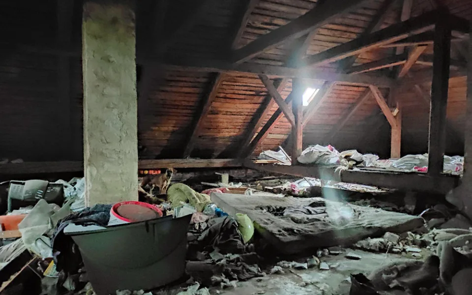 Svého psa držel chovatel ze Šternberska v neuklizených půdních prostorách starého bytového domu