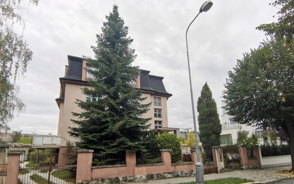 Vánoční strom pro Olomouc roste kousek od zimáku. Děti mohou pro smrk i letos vymyslet jméno