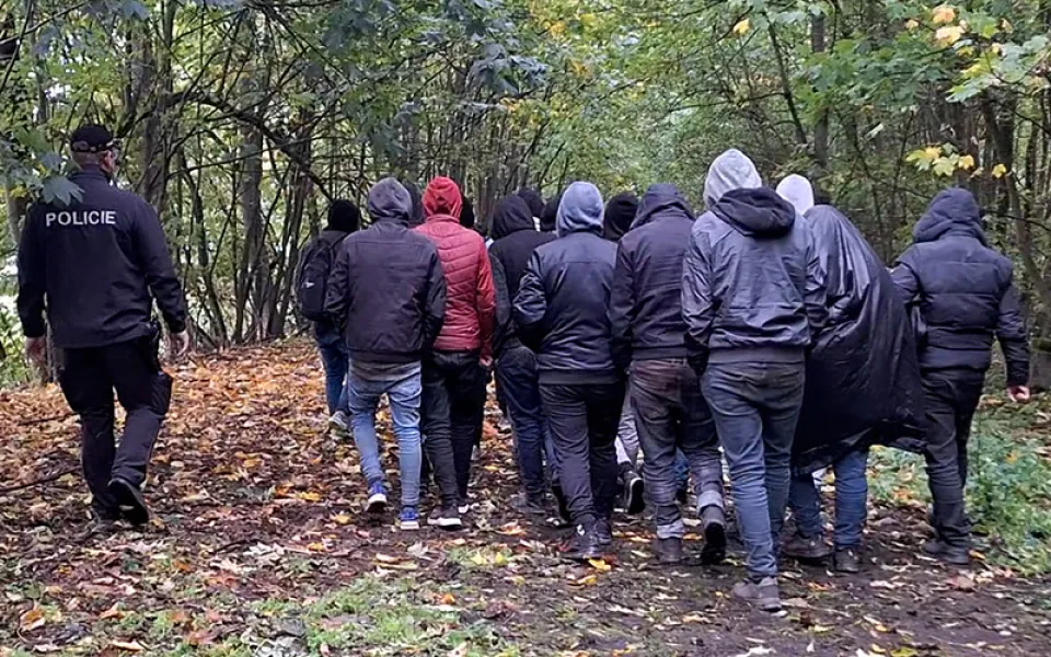 Skupinu šestadvaceti migrantů ze Sýrie vypátral policejní pes Umpalumpa. Ukrývali se u Mohelnice v lese