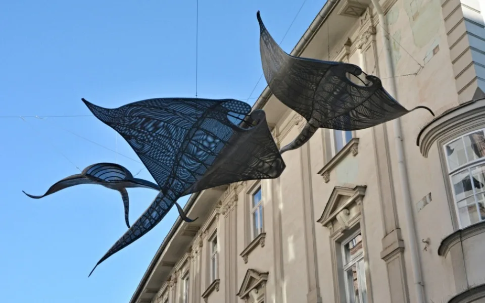 Olomouckou Opletalovou ulicí plují manty. Od místních sklízí pozitivní ohlasy
