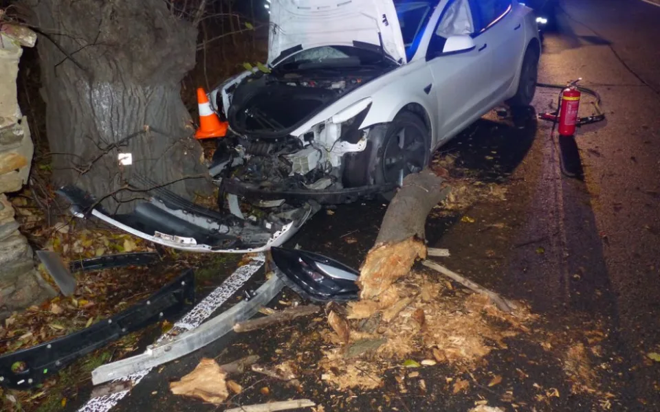 Řidič Tesly se u Žulové lekl protijedoucího vozu a narazil do stromu. Škoda vystřelila na milion korun