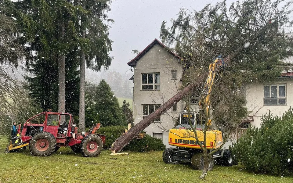 Na budovu školy v Jeseníku spadl mohutný strom, na místě zasahují hasiči