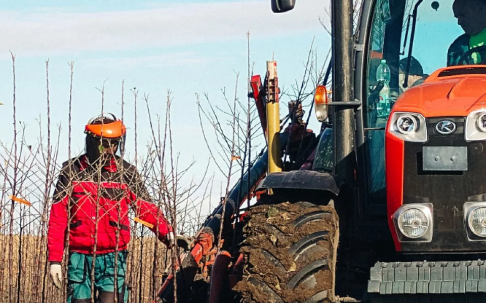 Kofola zachránila Pragerovy sady v Libině, kterým hrozilo vykácení. Z jablek bude vyrábět cidery