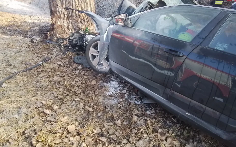 Při havárii u Křelova dnes zemřel řidič, osobní vůz čelně narazil do stromu. Kvůli počasí je hodně nehod