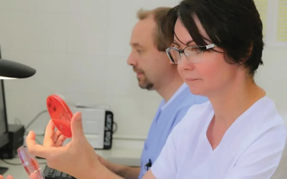 Tajemný svět nejen v Petriho misce. Šumperská mikrobiologická laboratoř připravila speciální výstavu