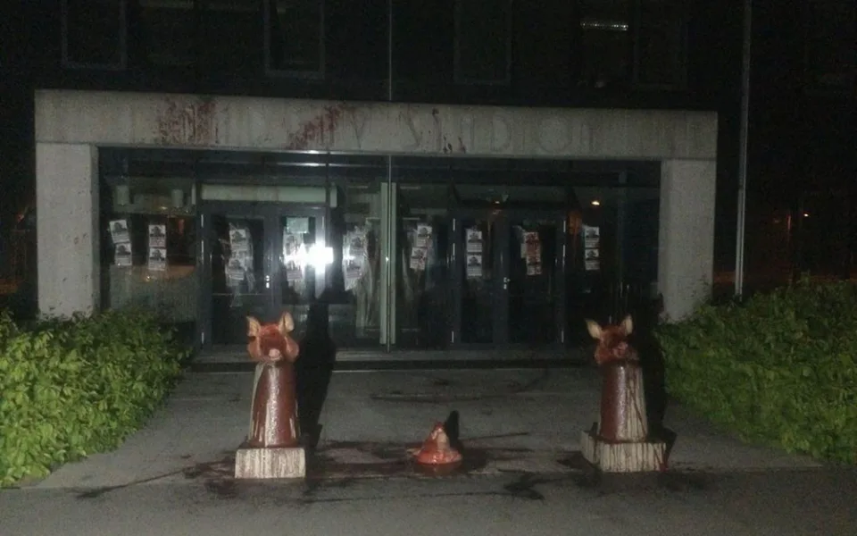 Prasečí hlavy měl před fotbalový stadion Sigmy rozmístit mladý cizinec, policie ho zadržela