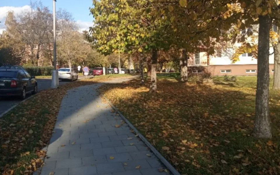 Ilustrační foto