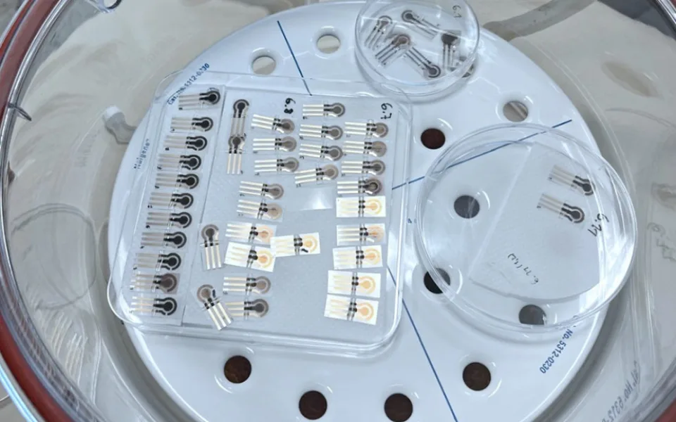 Speciální elektrody umožní zjištění různých chemikálií či mikroorganismů ze vzorku